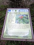 Information panel describing the Rowan tree in Zănoaga Gorge